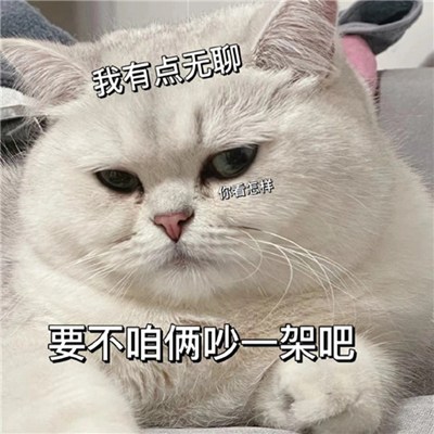 无聊怎么发朋友圈（精选45句）